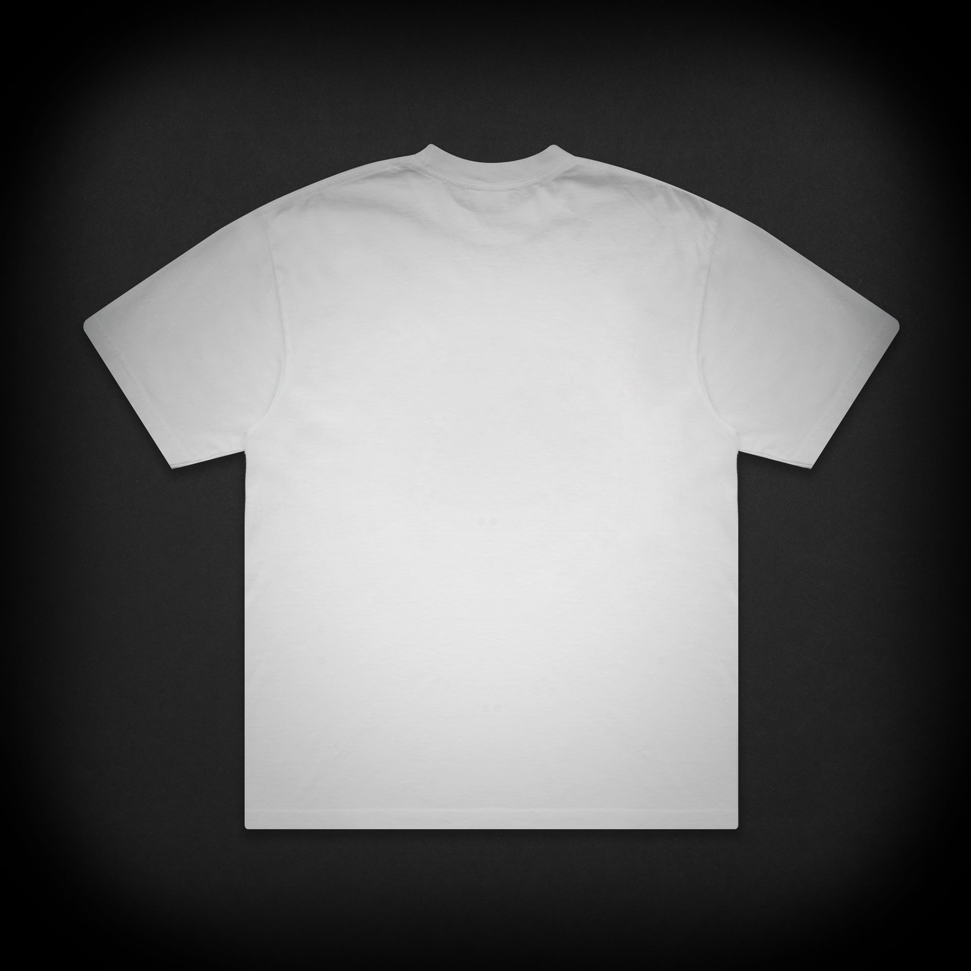 STRIKE EAGLE TEE - WHITE